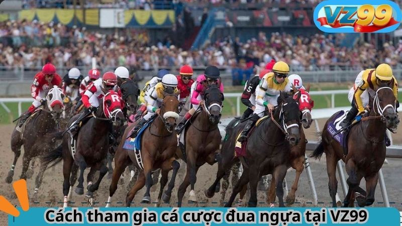 Cách tham gia cá cược đua ngựa tại VZ99