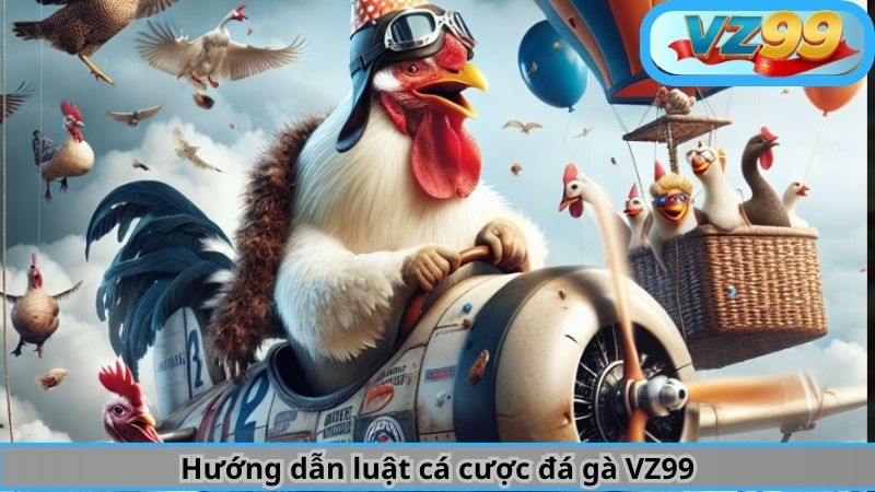 Hướng dẫn luật cá cược đá gà VZ99