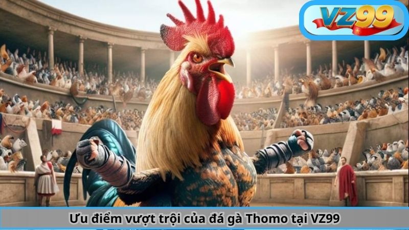Ưu điểm vượt trội của đá gà Thomo tại VZ99