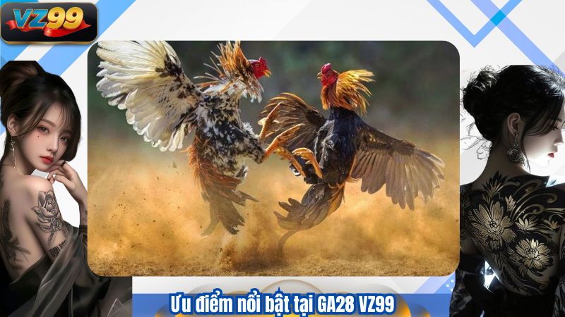 Ưu điểm nổi bật tại GA28 VZ99