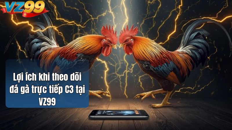 Lợi ích khi theo dõi đá gà trực tiếp C3 tại VZ99