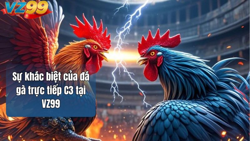 Sự khác biệt của đá gà trực tiếp C3 tại VZ99