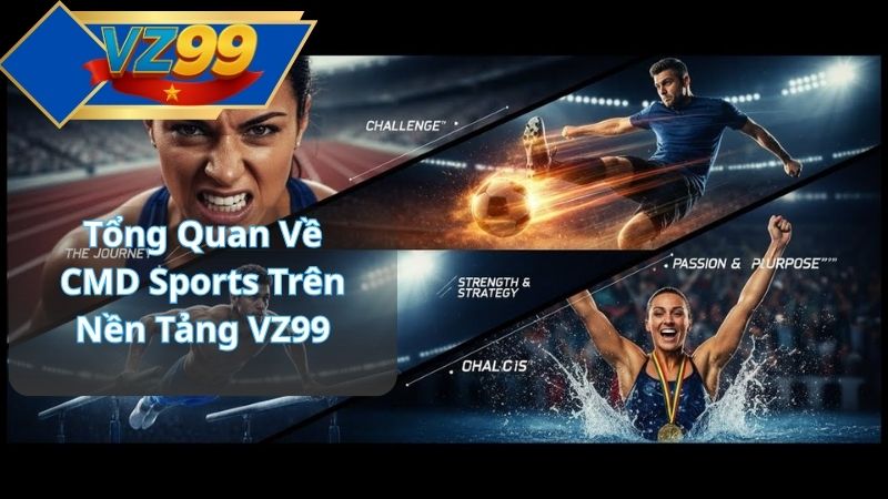 Tổng Quan Về CMD Sports Trên Nền Tảng VZ99